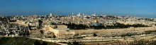 Jerusalem from the Mount of Olives / ***