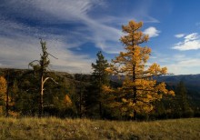 Autumn in the southern Urals. / ***