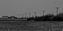 Autumn grayness / -----