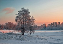 Borisovskie ponds. / ******