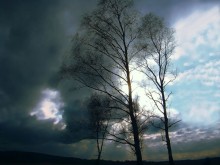 Before the Storm / ***