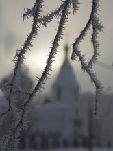 Bitter cold / ***