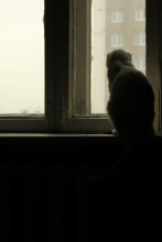 Sadness / ***