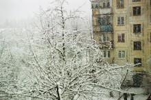 cozy winter / ***