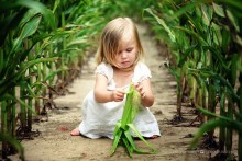 The girl in the maize / ***