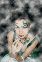 image in the darkness ... / ***