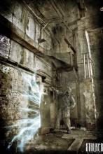 We cut down !!!!!!!!! / ***