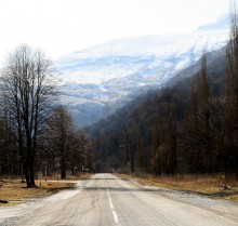 Road to mountains / ***