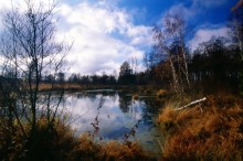 Autumn, pond. / ***