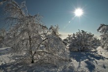 Winter morning ... / ***