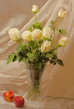 Still life with roses / ****** *********