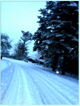winter road .. / ***