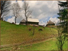 The road to Sinevir. / ***