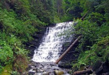 Carpathian Falls / ***