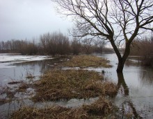 Winter flooding in Polesie / ***