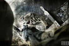 Attack / ***