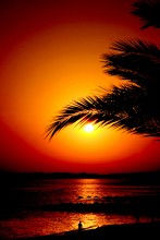 Sunset / ..................................