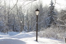 Frost and sun .. / ***