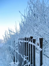 Outside the fence, intricate patterns ... / ***