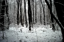 Winter Graphics / ***