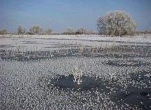 Winter flooding in Polesie / ***