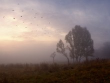 On the Autumn Mist / ***