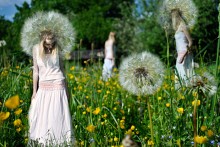 leaving dandelions / ***