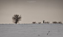 monk / ***