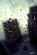 out the window / ***