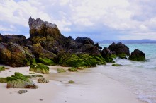 Island / ***