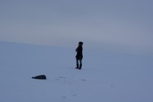 The path to the new / ***