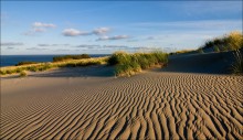 The game winds in the Baltic Sea / ***