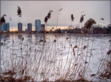 purple evening / .....