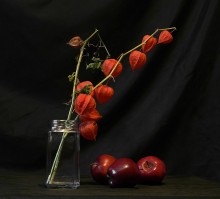Still life with apples and fzalisom / -------------
