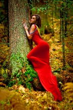 The girl in red dress / ***
