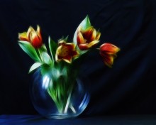Still Life with Tulips / -------
