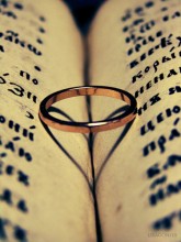 Love / http://fotki.yandex.ru/users/nastikter/view/333756?page=0rnhttp://photoawards.ru/users/141473