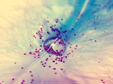 Glamorous drop / http://photoawards.ru/photos/639783?photo_selector%5Buser_id%5D=141473#photo