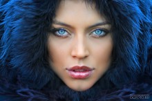 Snow queen / -----