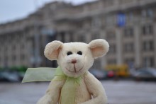bear on the avenue / ***