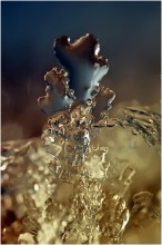 Facets about ... / ***