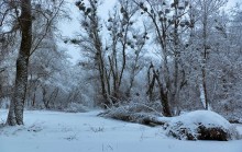 Winter silence / ***