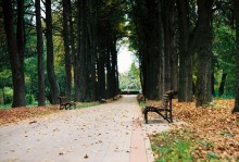 Autumn / ***
