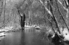silence / ------------