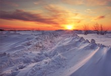 On a snowy road / ***