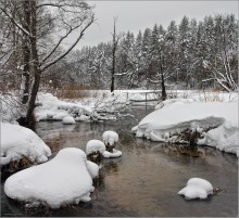 Remembering winter with gray skies .... / *******