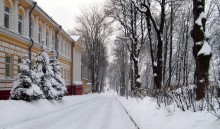 Winter in Vitebsk / ***