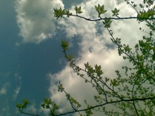 Goludaya distance / ***