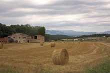 Rural Landscape / ***