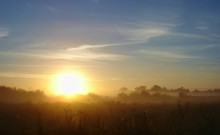 Dawn / ***